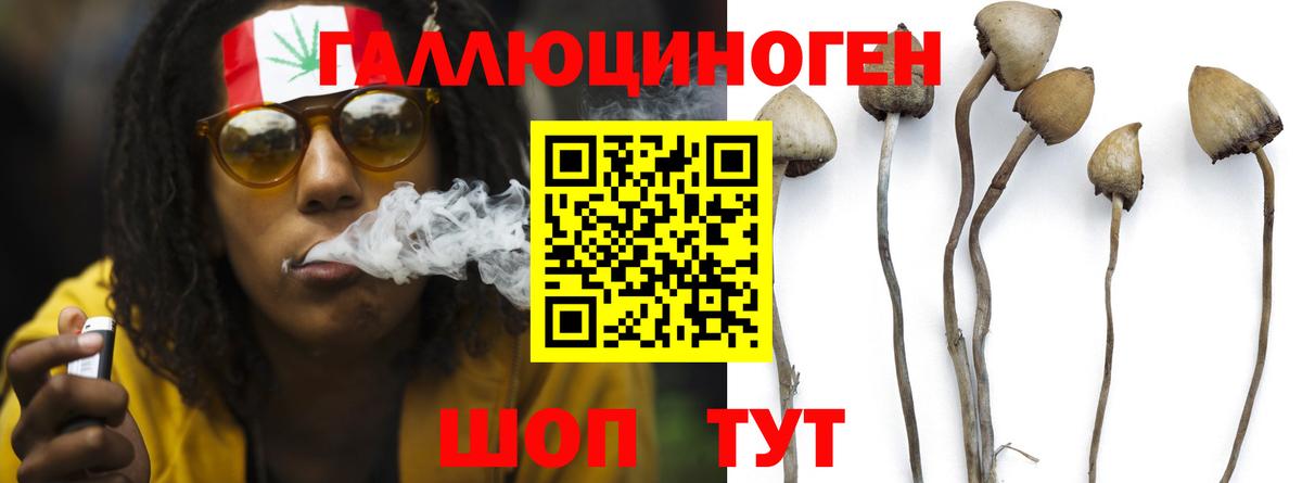 Галлюциногенные грибы Magic Shrooms  Вход с VPN  Похвистнево  Псилоцибиновые грибы ЛСД 
